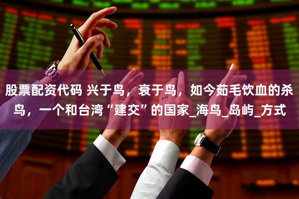 股票配资代码 兴于鸟，衰于鸟，如今茹毛饮血的杀鸟，一个和台湾“建交”的国家_海鸟_岛屿_方式