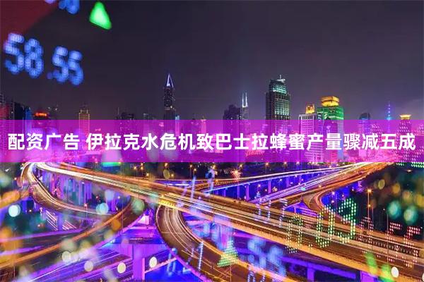 配资广告 伊拉克水危机致巴士拉蜂蜜产量骤减五成