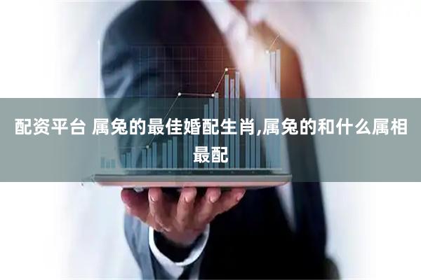 配资平台 属兔的最佳婚配生肖,属兔的和什么属相最配